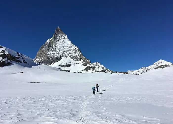 利奥波德豪斯旅馆 公寓 *
