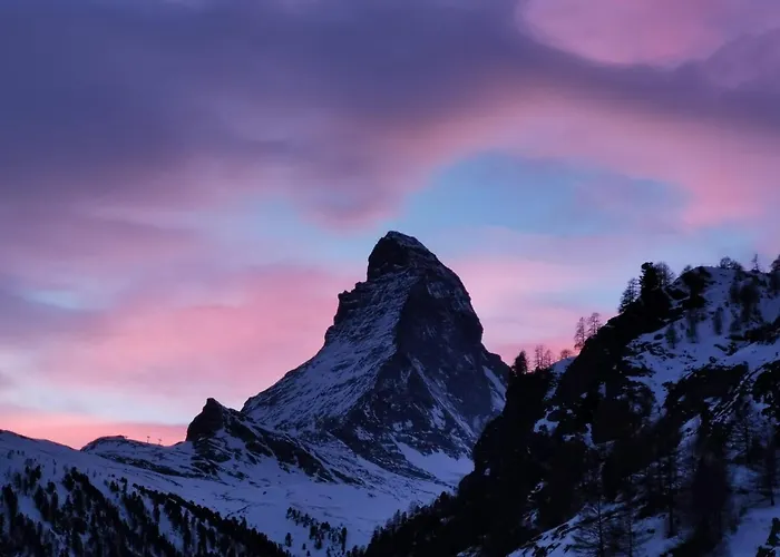 利奥波德豪斯旅馆 公寓 *