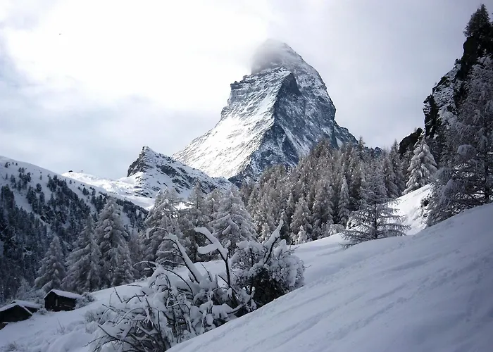 利奥波德豪斯旅馆
